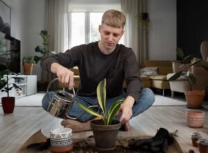 Common Mistakes That Stunt Plant Growth