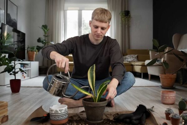Flourishing Gardens: Common Mistakes That Stunt Plant Growth
